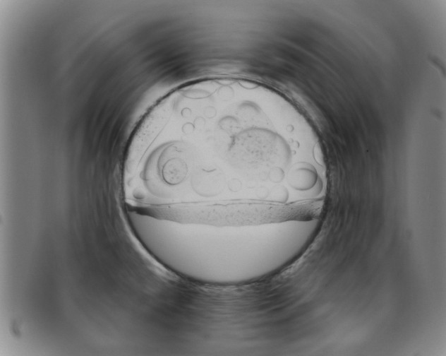 X0000097471432200803141904
