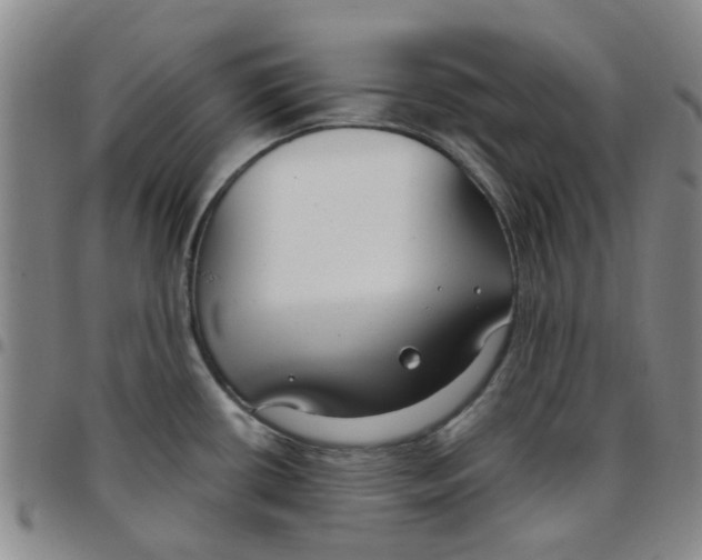 X0000097471434200803141904