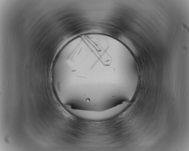 X0000097471436200803141904