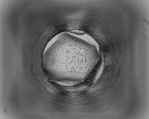 X0000097471441200803141903