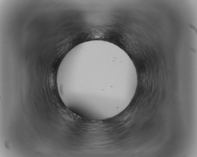 X0000097471442200803141903