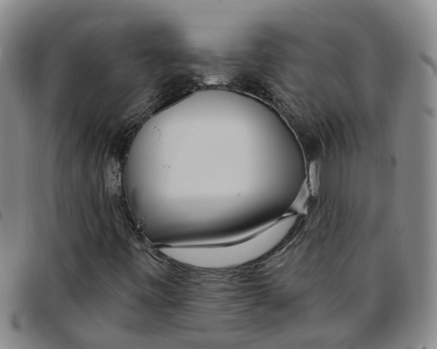 X0000097471443200803141903