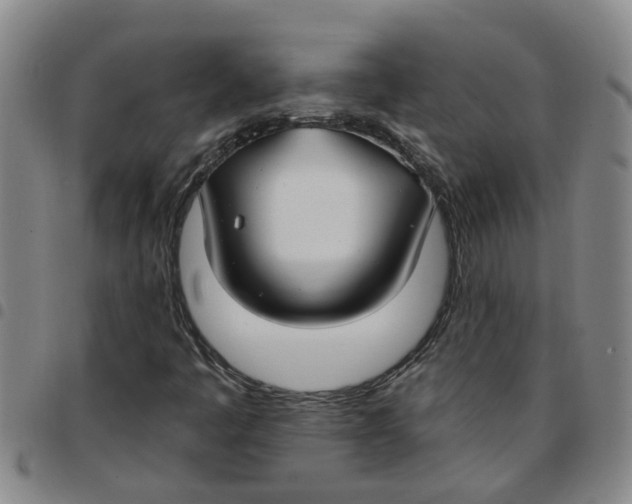 X0000097471445200803141903