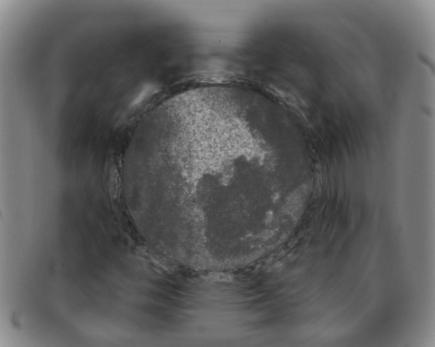 X0000097471446200803141903