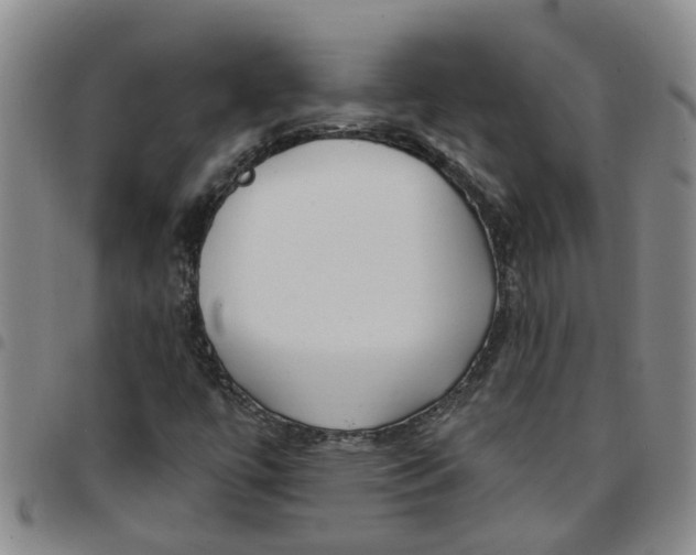 X0000097471447200803141903
