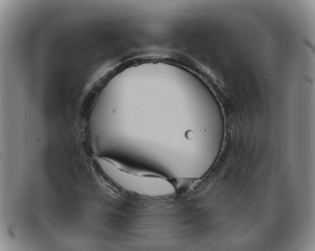 X0000097471448200803141903