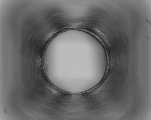 X0000097471449200803141903