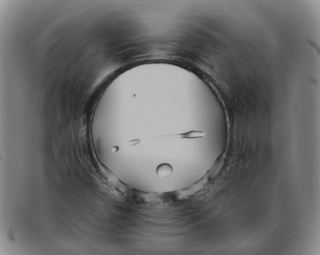 X0000097471450200803141903