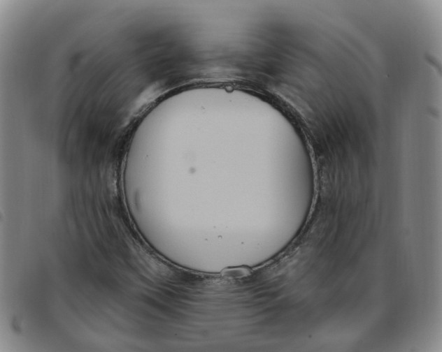 X0000097471451200803141903