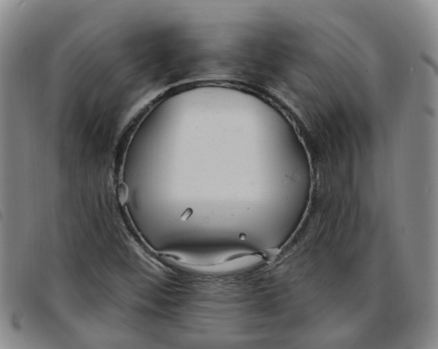 X0000097471452200803141903
