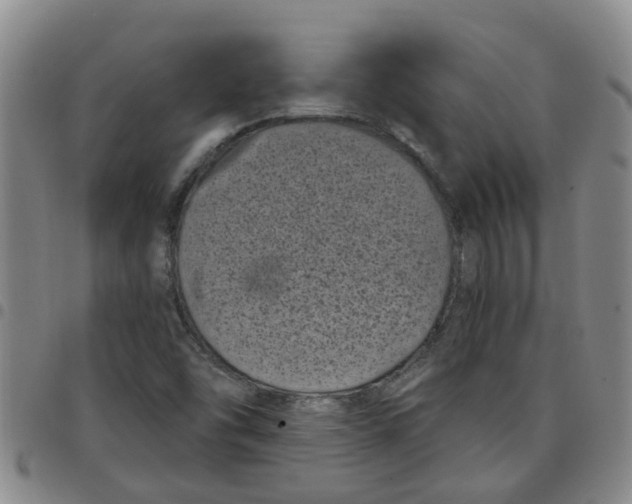 X0000097471454200803141903