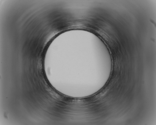 X0000097471458200803141903