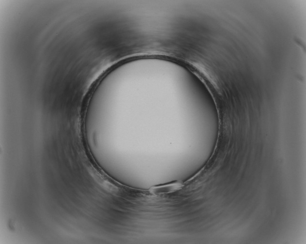 X0000097471460200803141903