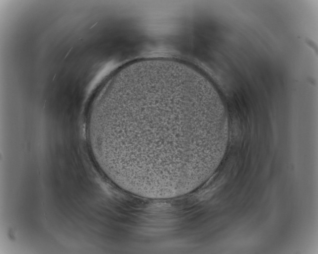 X0000097471462200803141903
