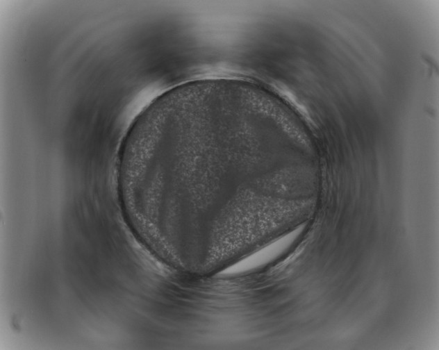 X0000097471463200803141903