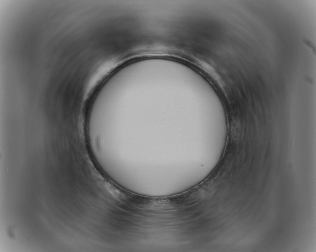 X0000097471464200803141902
