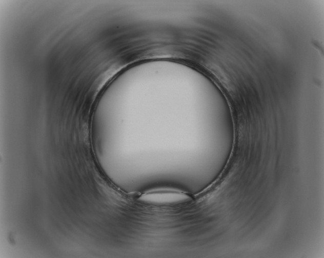 X0000097471465200803141902