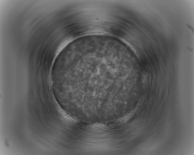 X0000097471466200803141902