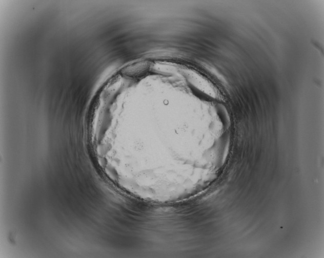 X0000097471467200803141902