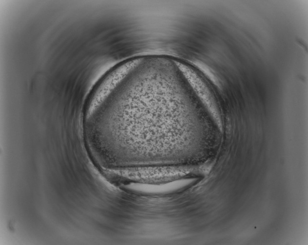 X0000097471468200803141902