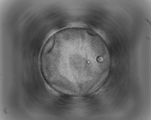 X0000097471471200803141902