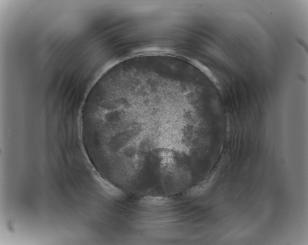 X0000097471474200803141902