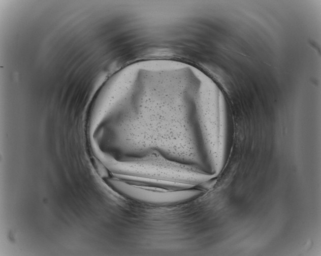 X0000097471475200803141902
