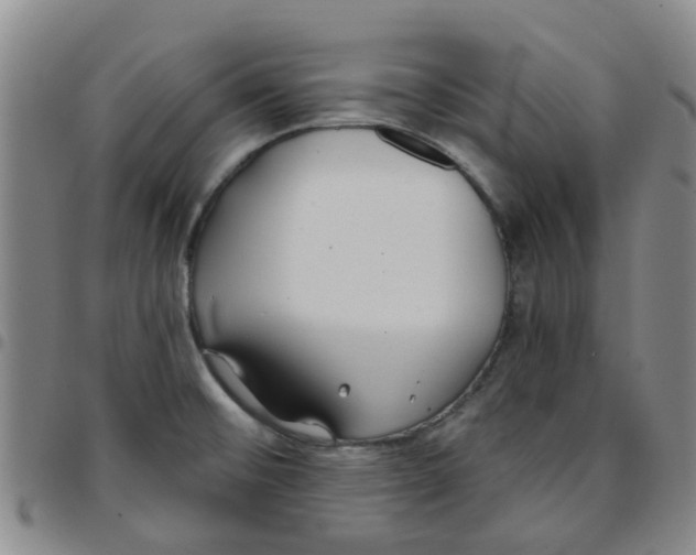 X0000097471476200803141902