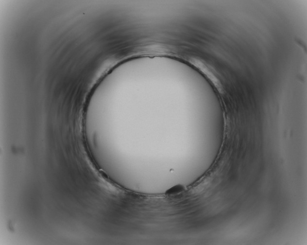 X0000097471477200803141902