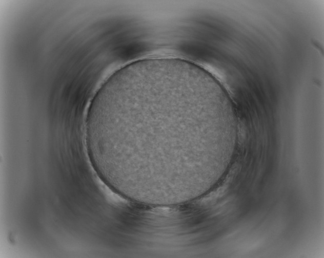 X0000097471478200803141902