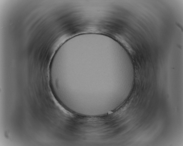 X0000097471479200803141902