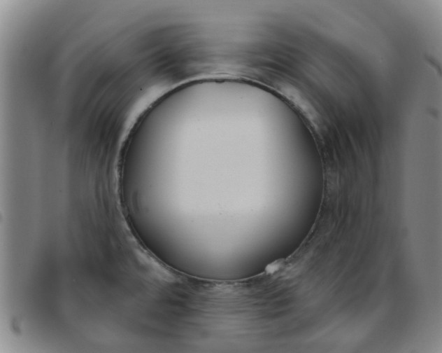 X0000097471480200803141902