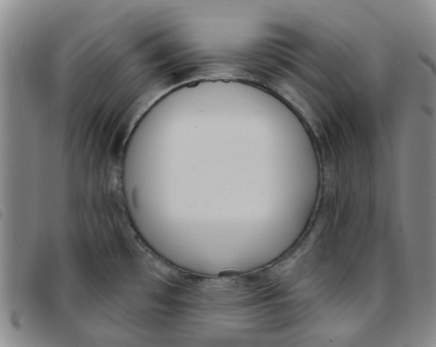 X0000097471481200803141902