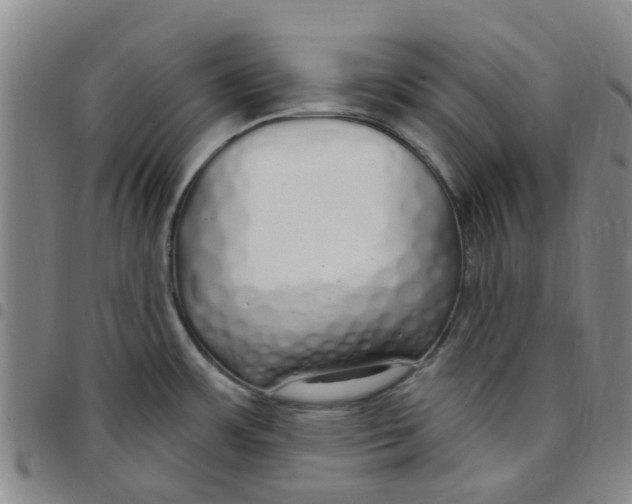 X0000097471483200803141902