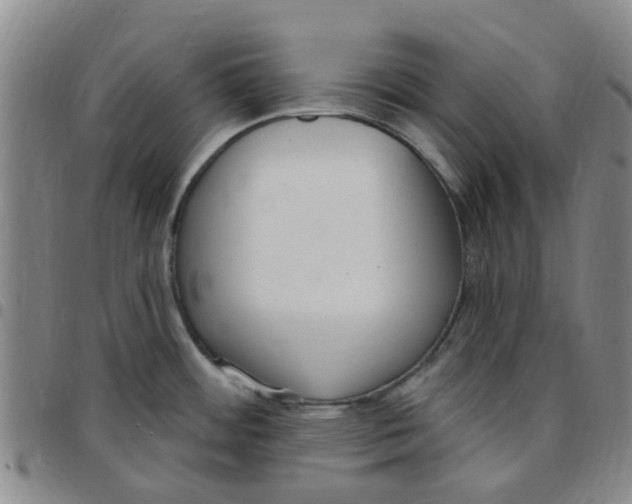 X0000097471484200803141902