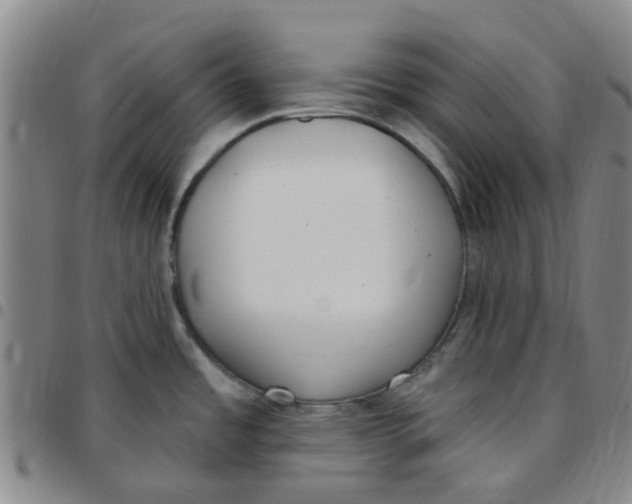 X0000097471485200803141902