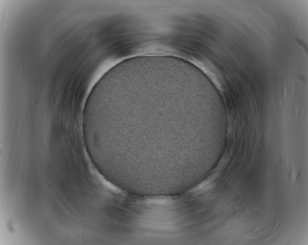 X0000097471486200803141902