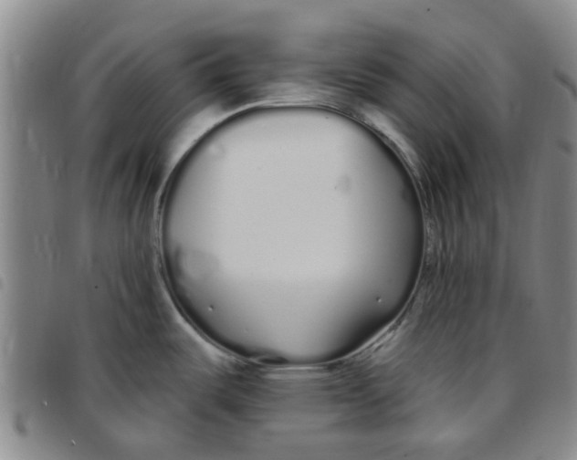X0000097471487200803141902