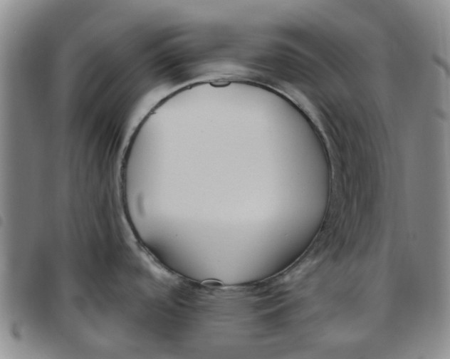 X0000097471488200803141902