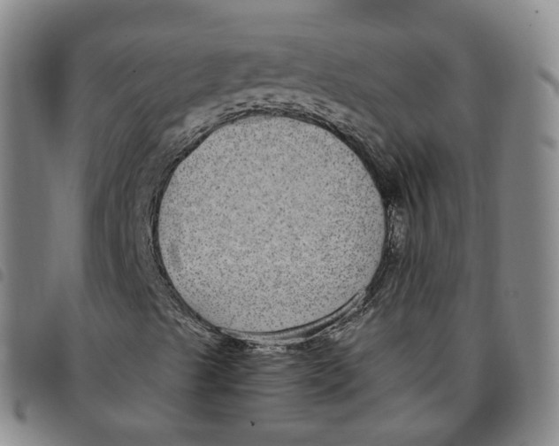 X0000097471489200803141902