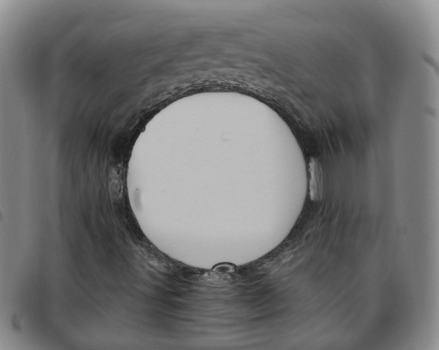 X0000097471491200803141902
