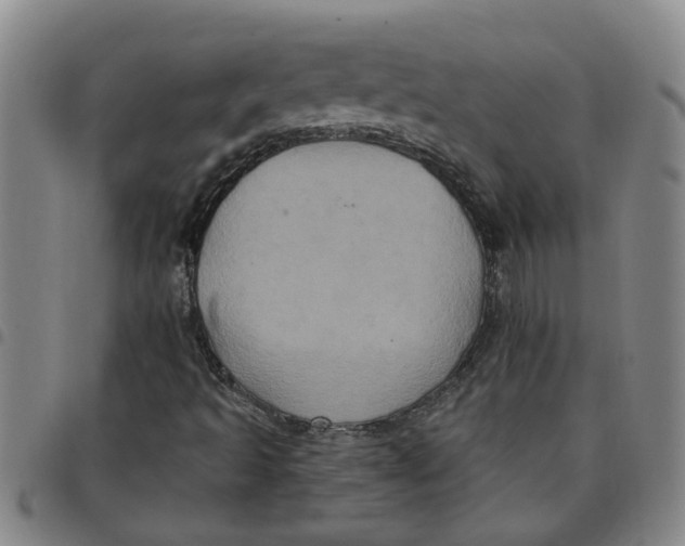 X0000097471493200803141902