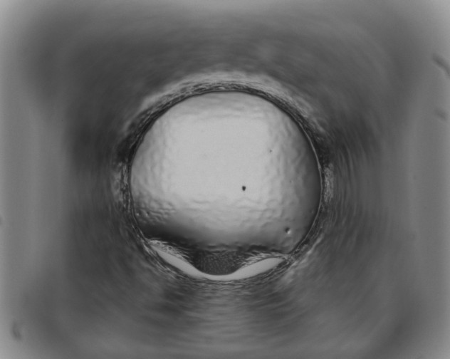 X0000097471494200803141902