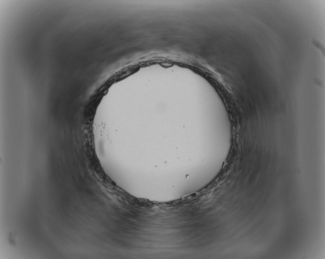 X0000097471496200803141902