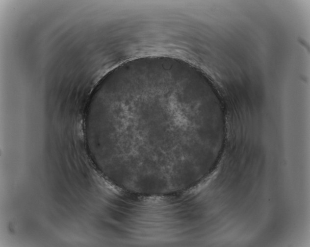 X0000097471497200803141902