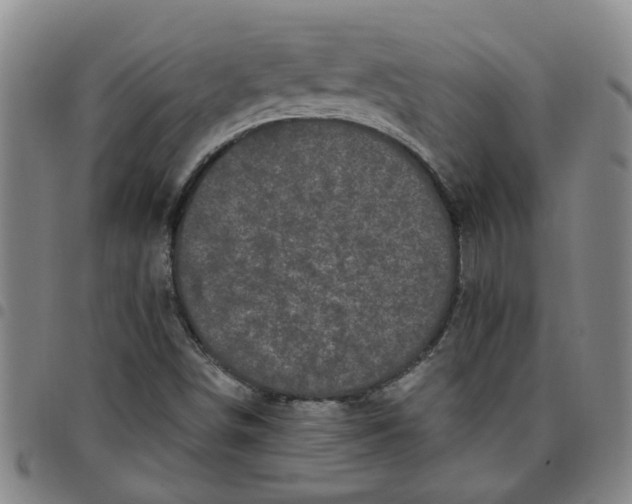 X0000097471498200803141902