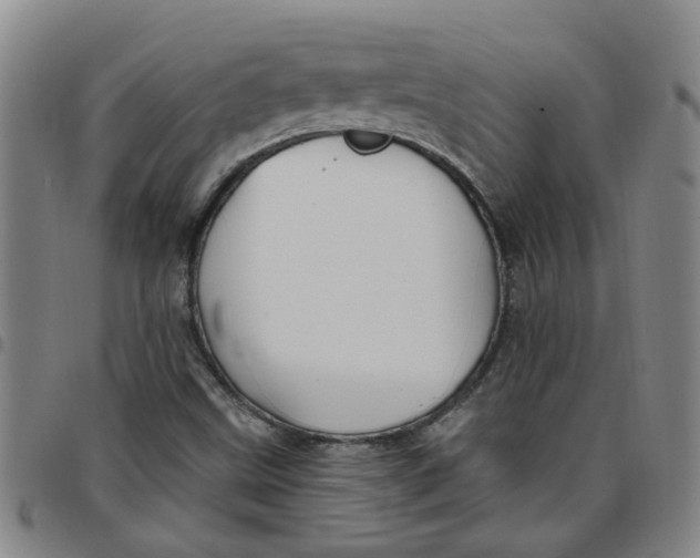 X0000097471499200803141902