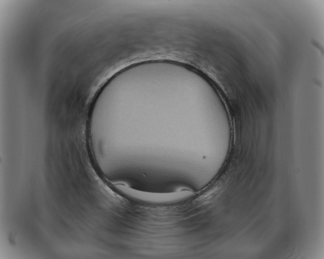 X0000097471500200803141902