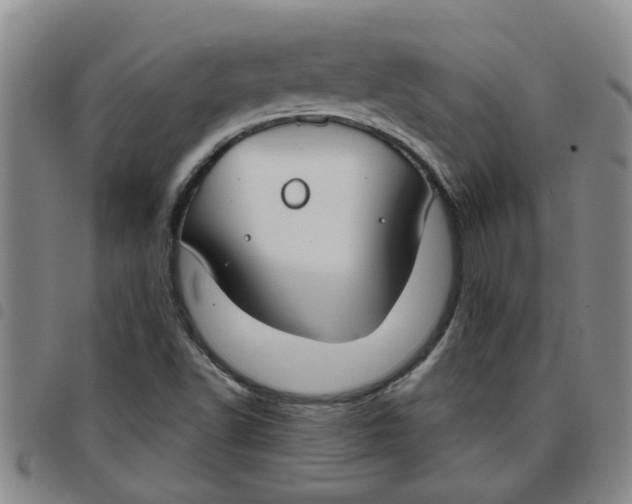X0000097471502200803141902
