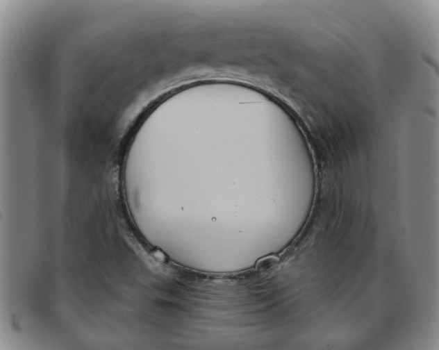 X0000097471503200803141902